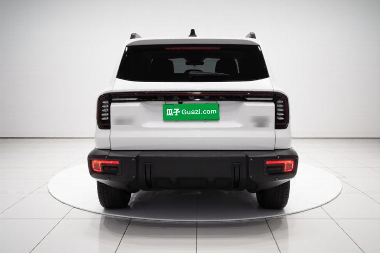 Used Haval DARGO 2024 2.0T DCT Chinese Rural Dog Edition Rear