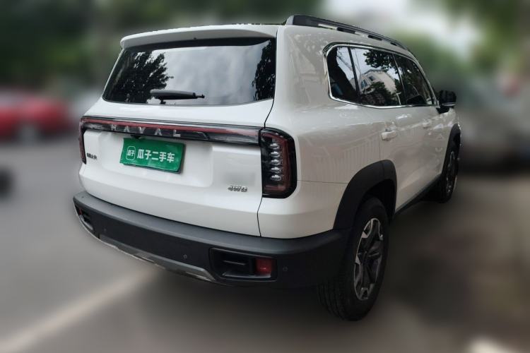 Used Haval DARGO 2024 2.0T DCT Chinese Rural Dog Edition Rear Right 45 Deg
