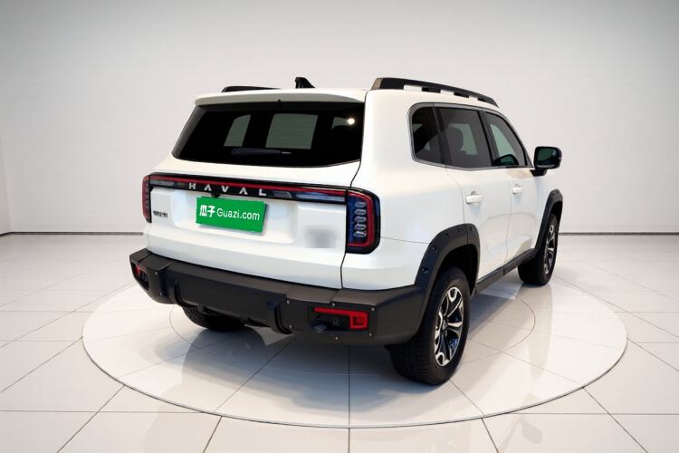 Used Haval DARGO 2024 2.0T DCT Chinese Rural Dog Edition Rear Right 45 Deg