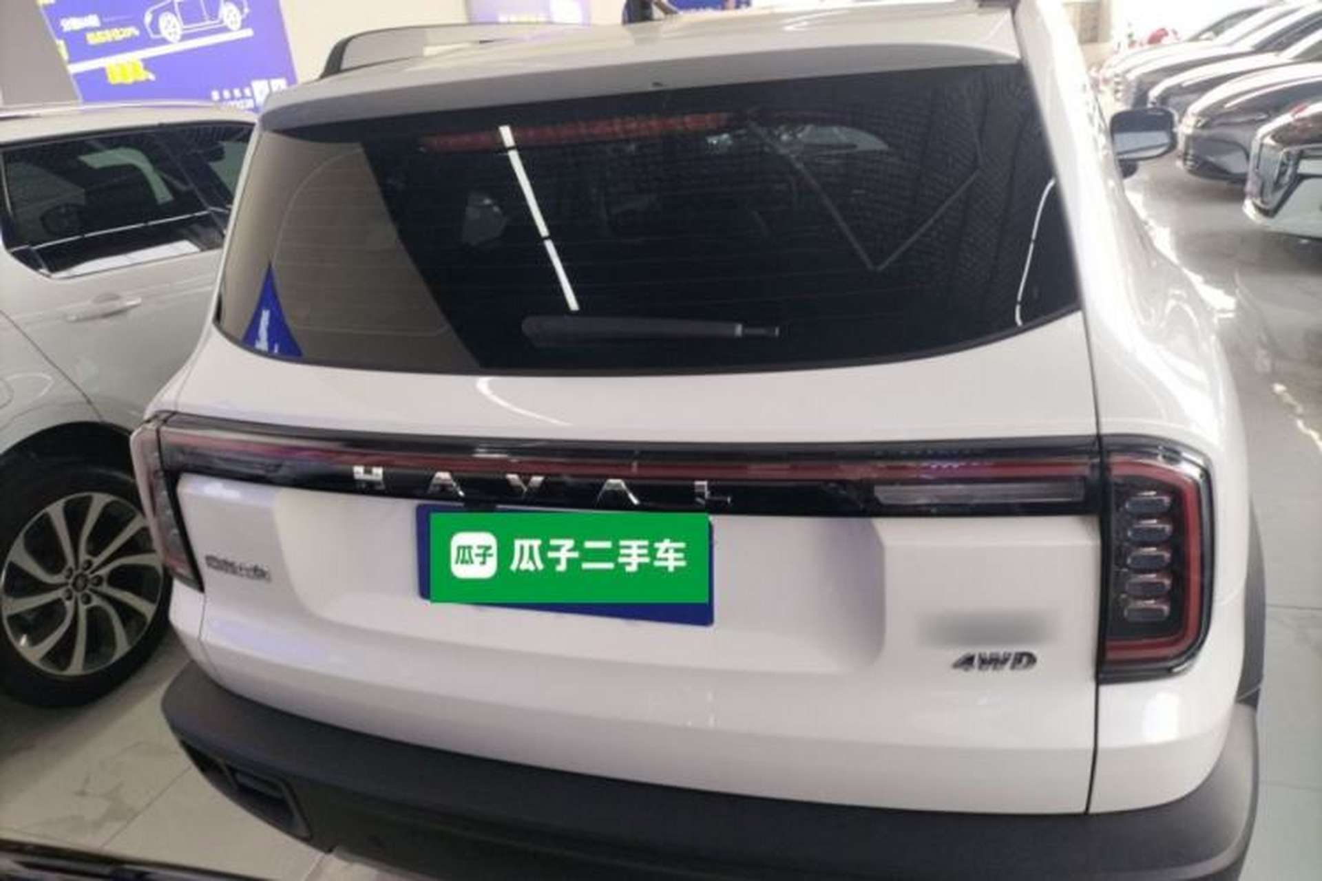 Used Haval DARGO 2024 2.0T DCT Chinese Rural Dog Edition Rear
