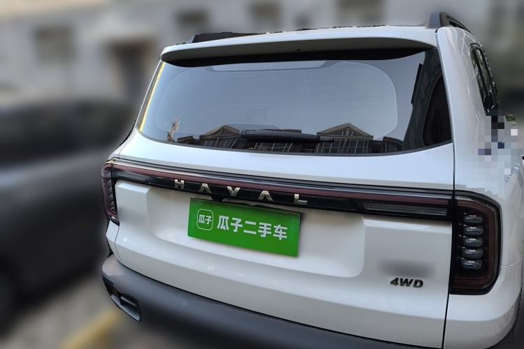Used Haval DARGO 2024 2.0T DCT Chinese Rural Dog Edition Rear