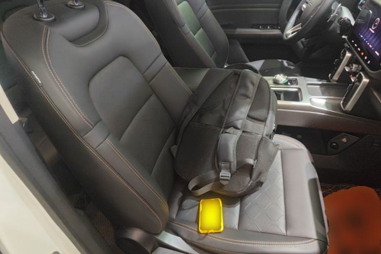 Used Haval DARGO 2024 2.0T DCT Chinese Rural Dog Edition Right Front Seat