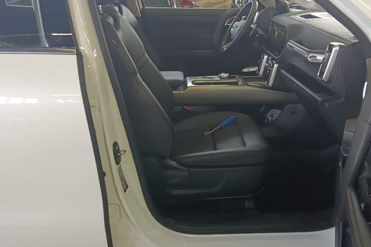 Used Haval DARGO 2024 2.0T DCT Chinese Rural Dog Edition Right Front Seat
