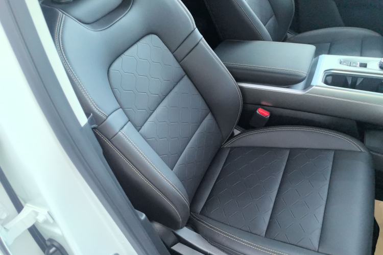 Used Haval DARGO 2024 2.0T DCT Chinese Rural Dog Edition Right Front Seat