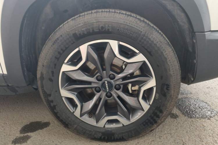 Used Haval DARGO 2024 2.0T DCT Chinese Rural Dog Edition Right Front Wheel Hub