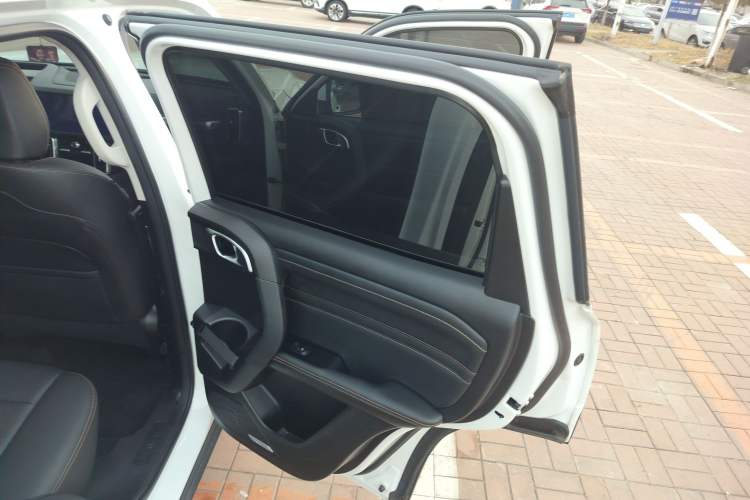 Used Haval DARGO 2024 1.5T DCT Border Collie Edition Right Rear Door Interior