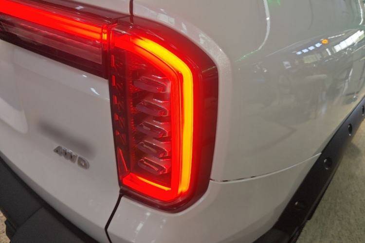 Used Haval DARGO 2024 2.0T DCT Chinese Rural Dog Edition Right Rear Taillight