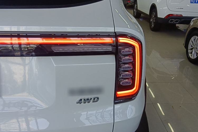 Used Haval DARGO 2024 2.0T DCT Chinese Rural Dog Edition Right Rear Taillight
