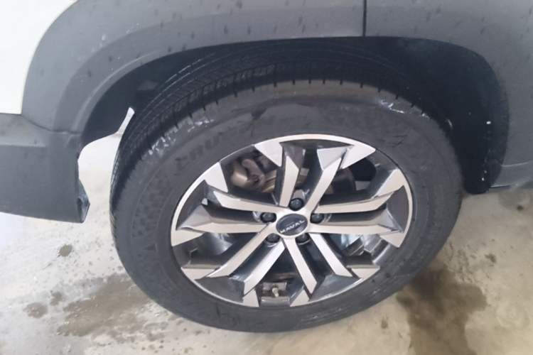 Used Haval DARGO 2024 1.5T DCT Border Collie Edition Right Rear Wheel Hub