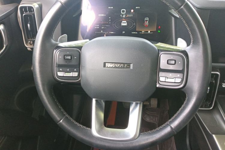 Used Haval DARGO 2024 2.0T DCT Chinese Rural Dog Edition Steering Wheel