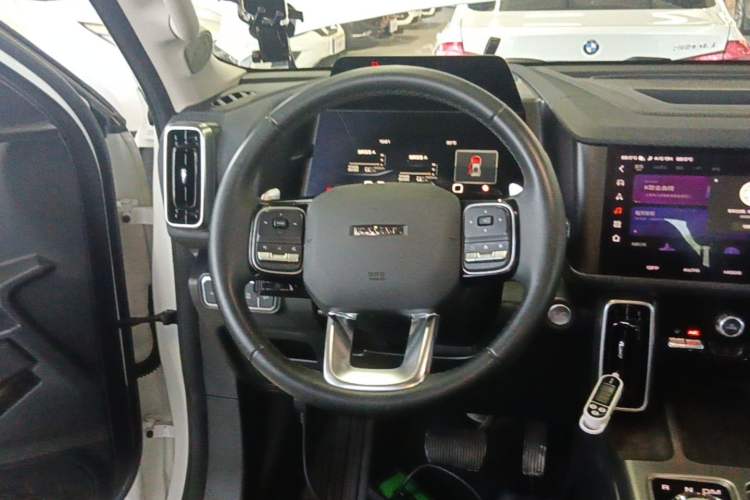 Used Haval DARGO 2024 2.0T DCT Chinese Rural Dog Edition Steering Wheel
