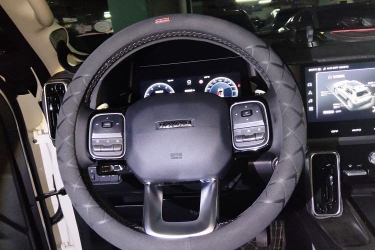 Used Haval DARGO 2024 2.0T DCT Chinese Rural Dog Edition Steering Wheel