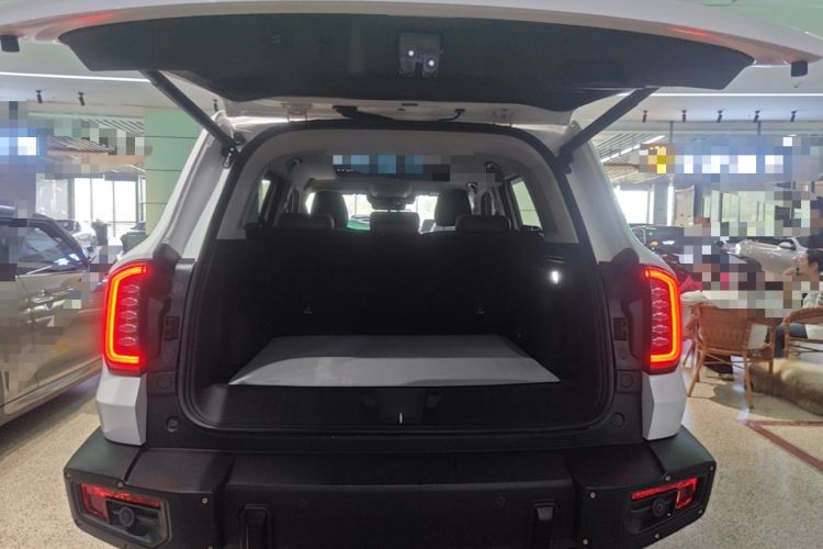 Used Haval DARGO 2024 2.0T DCT Chinese Rural Dog Edition Trunk
