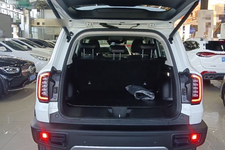 Used Haval DARGO 2024 2.0T DCT Chinese Rural Dog Edition Trunk