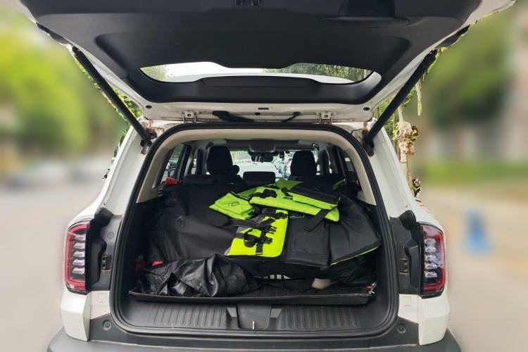 Used Haval DARGO 2024 2.0T DCT Chinese Rural Dog Edition Trunk