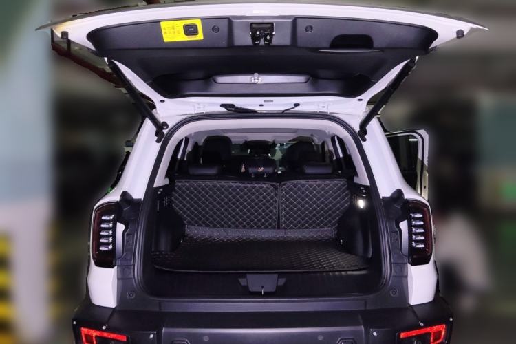 Used Haval DARGO 2024 2.0T DCT Chinese Rural Dog Edition Trunk