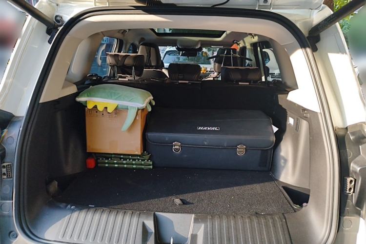 Used Haval DARGO 2024 2.0T DCT Chinese Rural Dog Edition Trunk