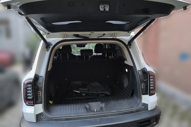 Used Haval DARGO 2024 2.0T DCT Chinese Rural Dog Edition Trunk