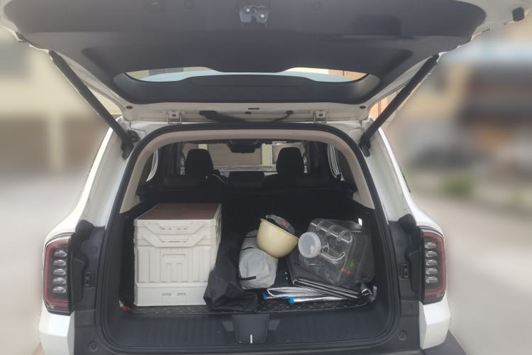 Used Haval DARGO 2024 2.0T DCT Chinese Rural Dog Edition Trunk