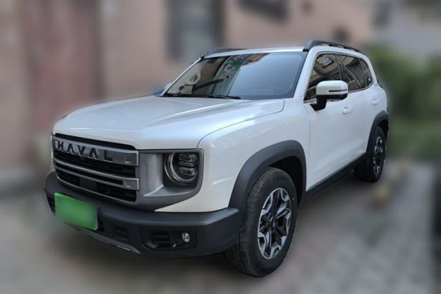 Used Haval DARGO 2024 2.0T DCT Chinese Rural Dog Edition