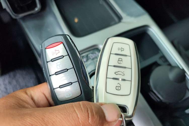 Used Haval DARGO 2024 2.0T DCT Chinese Rural Dog Edition Vehicle Key