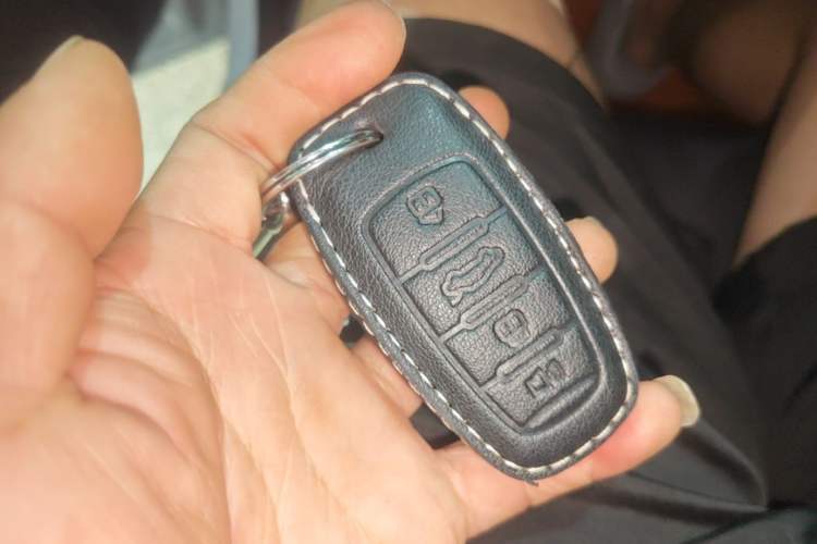 Used Haval DARGO 2024 2.0T DCT Chinese Rural Dog Edition Vehicle Key