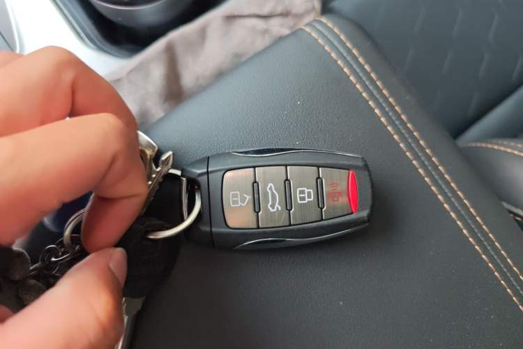Used Haval DARGO 2024 2.0T DCT Chinese Rural Dog Edition Vehicle Key