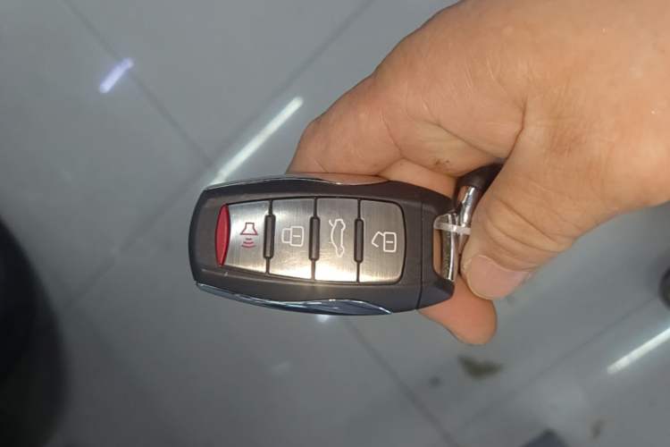 Used Haval DARGO 2024 1.5T DCT Labrador Edition Vehicle Key