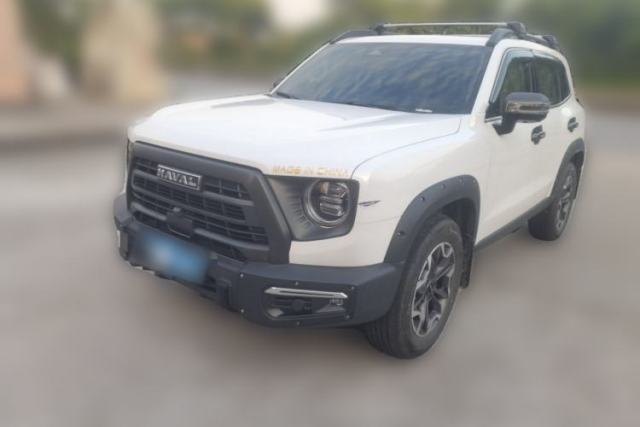 Used Haval DARGO 2024 2.0T DCT Chinese Rural Dog Edition