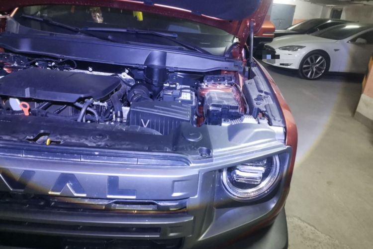 Used Haval DARGO 2024 2.0T DCT Chinese Rural Dog Edition Engine Bay Left