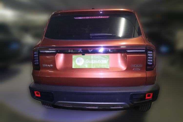 Used Haval DARGO 2024 2.0T DCT Chinese Rural Dog Edition Rear