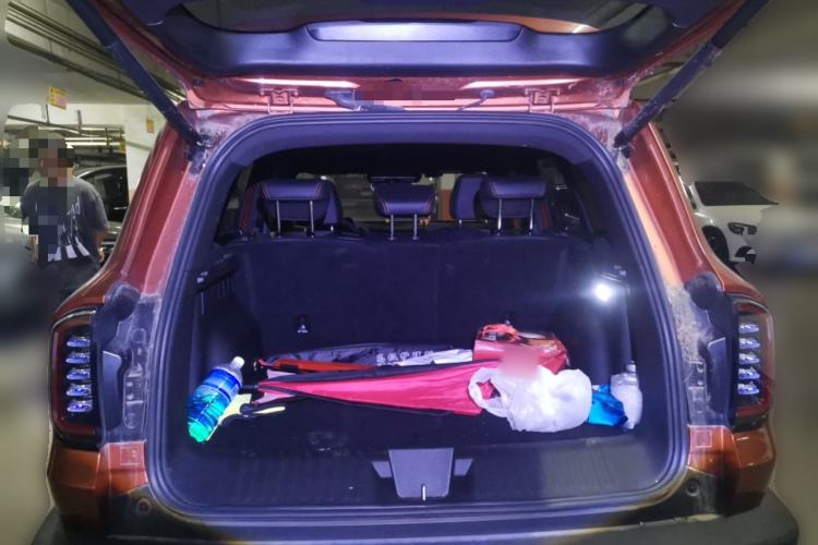 Used Haval DARGO 2024 2.0T DCT Chinese Rural Dog Edition Trunk
