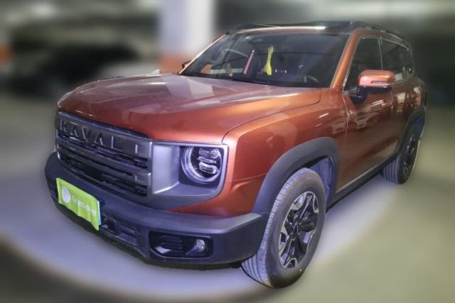 Used Haval DARGO 2024 2.0T DCT Chinese Rural Dog Edition