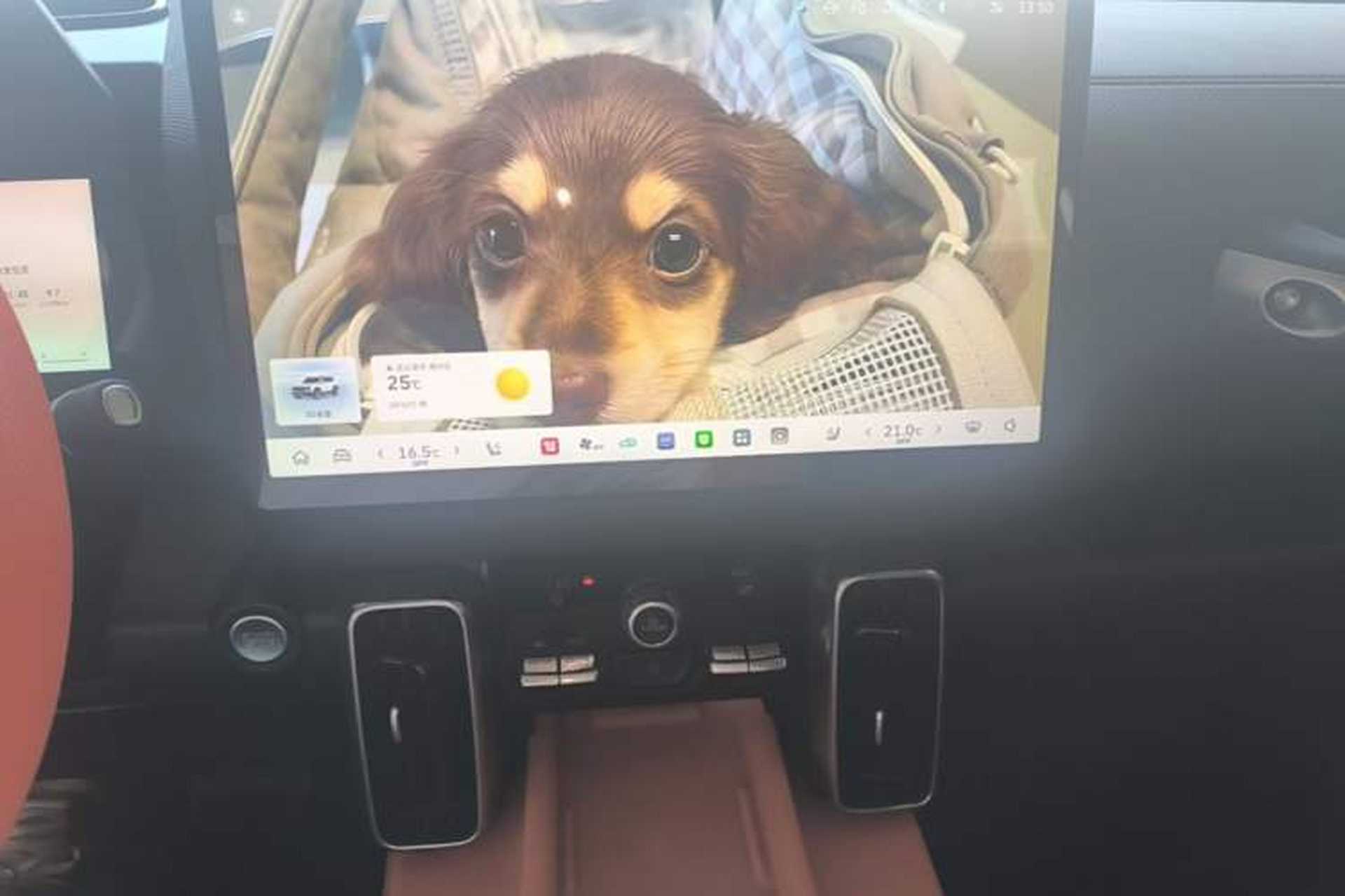 Used Haval DARGO 2026 Model 1.5T DCT Border Collie Edition Audio And AC Panel