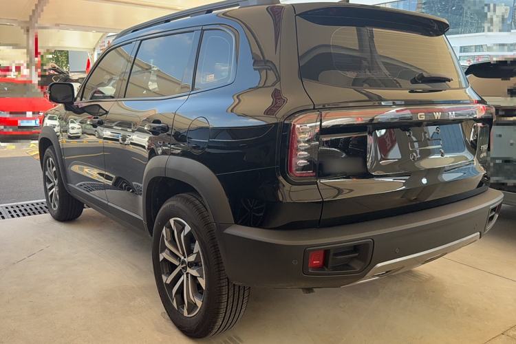 Used Haval DARGO 2026 Model 2.0T DCT Chinese Rural Dog Edition Exterior 5