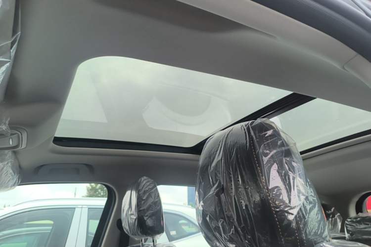 Used Haval DARGO 2026 Model 1.5T DCT Border Collie Edition Headliner