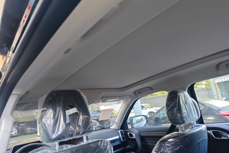 Used Haval DARGO 2026 Model 1.5T DCT Border Collie Edition Headliner