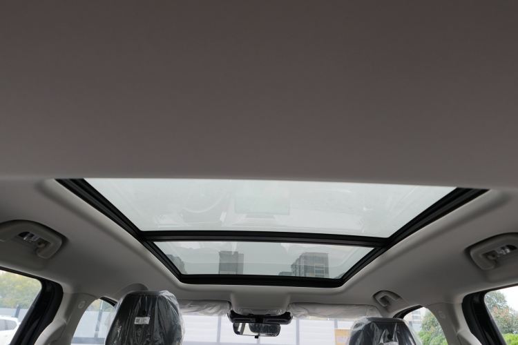Used Haval DARGO 2026 Model 2.0T DCT Chinese Rural Dog Edition Headliner