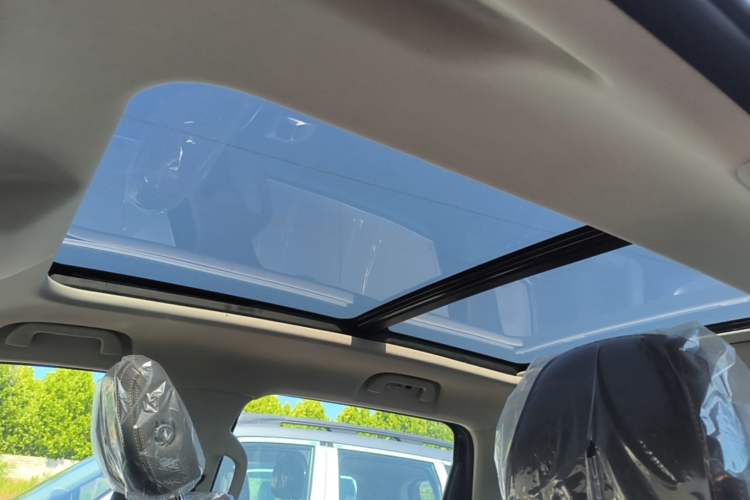 Used Haval DARGO 2026 Model 1.5T DCT Border Collie Edition Headliner