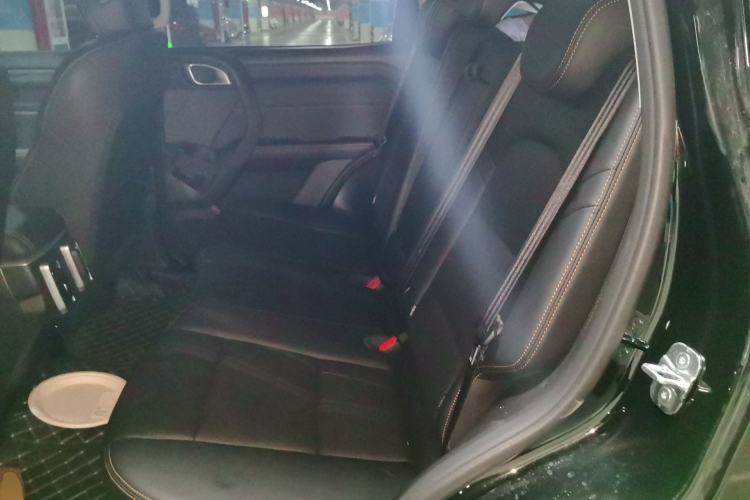 Used Haval DARGO 2026 Model 2.0T DCT Chinese Rural Dog Edition Left Rear Seat