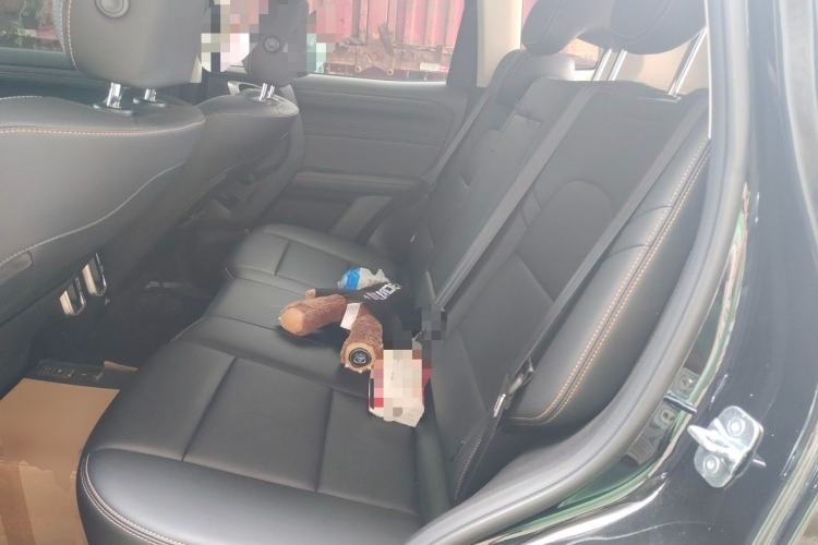 Used Haval DARGO 2026 Model 2.0T DCT Chinese Rural Dog Edition Left Rear Seat