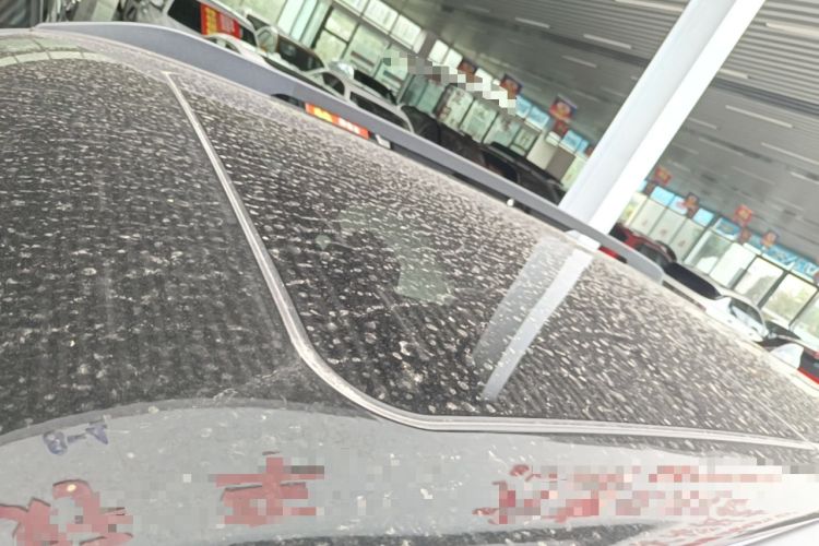 Used Haval DARGO 2026 Model 1.5T DCT Border Collie Edition Roof