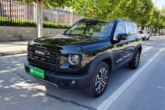 Used Haval DARGO 2026 Model 2.0T DCT Chinese Rural Dog Edition