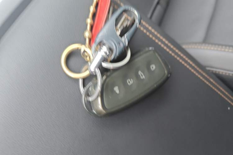 Used Haval DARGO 2026 Model 1.5T DCT Border Collie Edition Vehicle Key