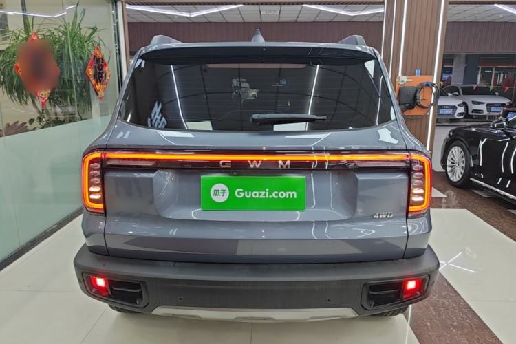 Used Haval DARGO 2026 Model 2.0T DCT Chinese Rural Dog Edition Rear