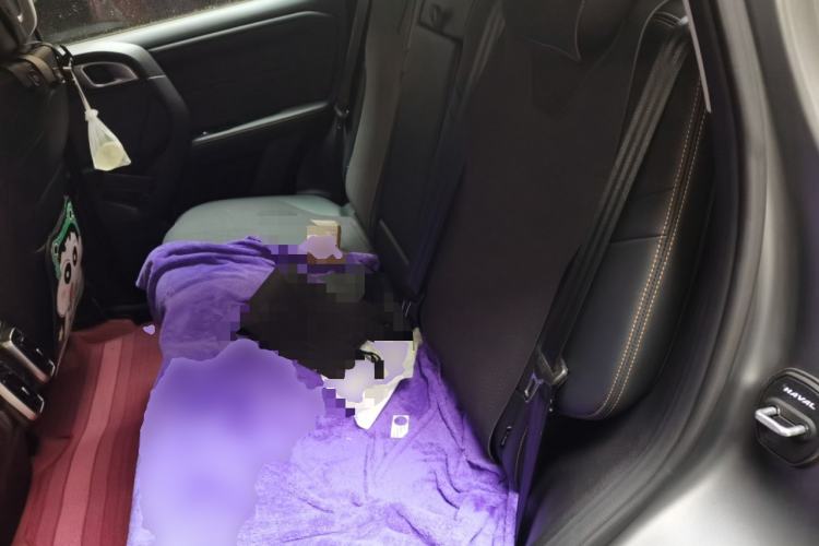 Used Haval DARGO 2026 Model 1.5T DCT Border Collie Edition Left Rear Seat