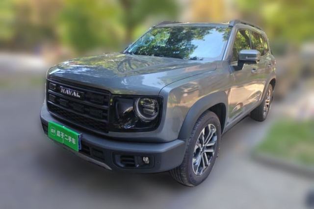 Used Haval DARGO 2026 Model 2.0T DCT Chinese Rural Dog Edition