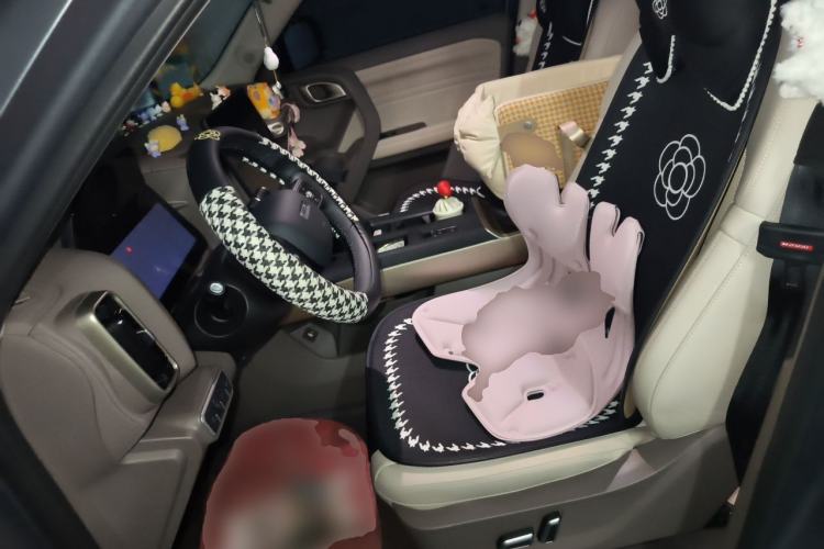 Used Haval DARGO 2026 Model 1.5T DCT Border Collie Edition Left Front Seat