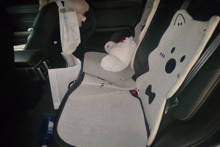 Used Haval DARGO 2026 Model 1.5T DCT Labrador Edition Left Rear Seat