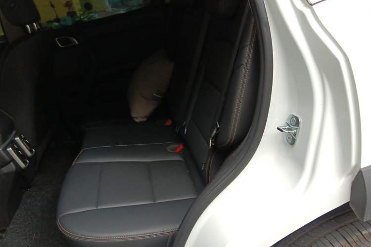 Used Haval DARGO 2026 Model 2.0T DCT Chinese Rural Dog Edition Left Rear Seat